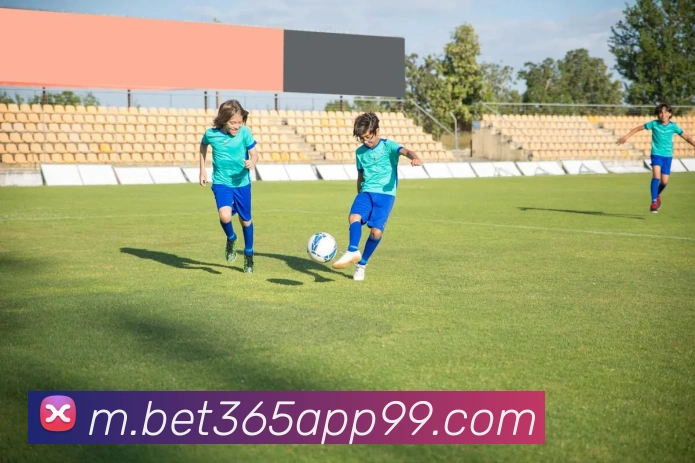 bet365中国官网发展历程